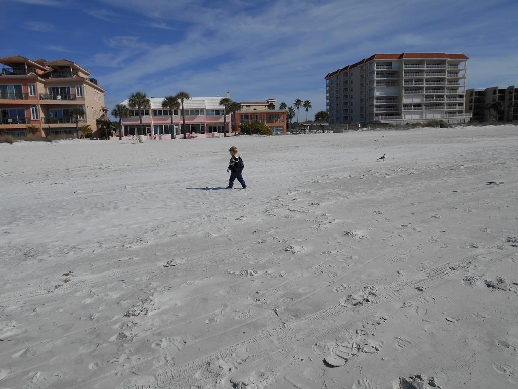 3000 Sq Ft Beach And Bay Condo St. Pete Beach Eksteriør billede